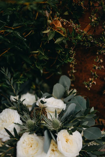 A close-up view of a bridal bouquet with soft white ranunculus flowers, accented by silvery eucalyptus leaves and thistle blooms, arranged in a natural, slightly loose style. The bouquet is set agains