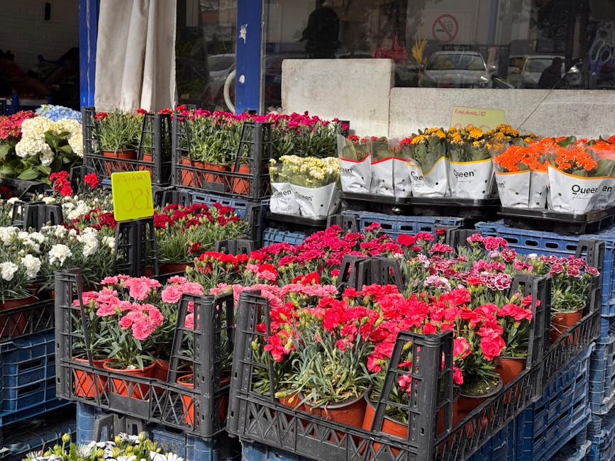 A vibrant outdoor display of potted flowering plants arranged in black plastic crates and trays outside a florist shop. The arrangement includes varieties of carnations and chrysanthemums in shades of