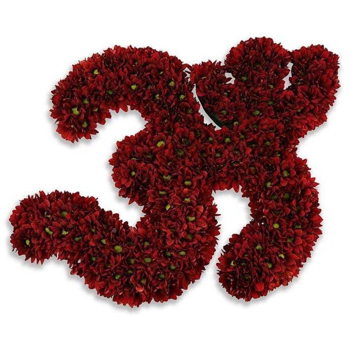 A striking, handcrafted number thirty-three composed entirely of tightly massed small chrysanthemums presents itself against a pure white field, the deep burgundy and crimson blossoms forming a plush, tactile surface that reads almost like rich velvet. Hundreds of button-style blooms have been layered so closely that individual flower outlines blur into a continuous, luxurious carpet, while occasional tiny green centres or flecks of foliage peek through to add freshness and visual lift. The two elegant threes show careful attention to proportion and negative space, their curves and terminals shaped with the eye of a seasoned florist to ensure legibility from a distance and an intimate texture close-up. A soft, diffuse shadow beneath the sculpture makes it appear slightly raised, as if the numerals float above the white plane, giving the arrangement quiet monumentality without excess. The scent is faintly floral and earthy, typical of fresh chrysanthemums, and the overall mood ranges from celebratory to commemorative - fitting for a 33rd birthday reception at a local Orpington venue, a milestone anniversary announced at the Walnuts, or a tasteful tribute displayed near Orpington Station. The craftsmanship is evident in the even density of blooms and the seamless transitions around tight curves; it reads simultaneously as a statement piece and a tender gesture. This is the kind of floral numbering a local Florist might supply for an elegant milestone, marrying sculptural presence with the placid charm of neighbourhood floristry in Orpington and its surrounding suburbs.